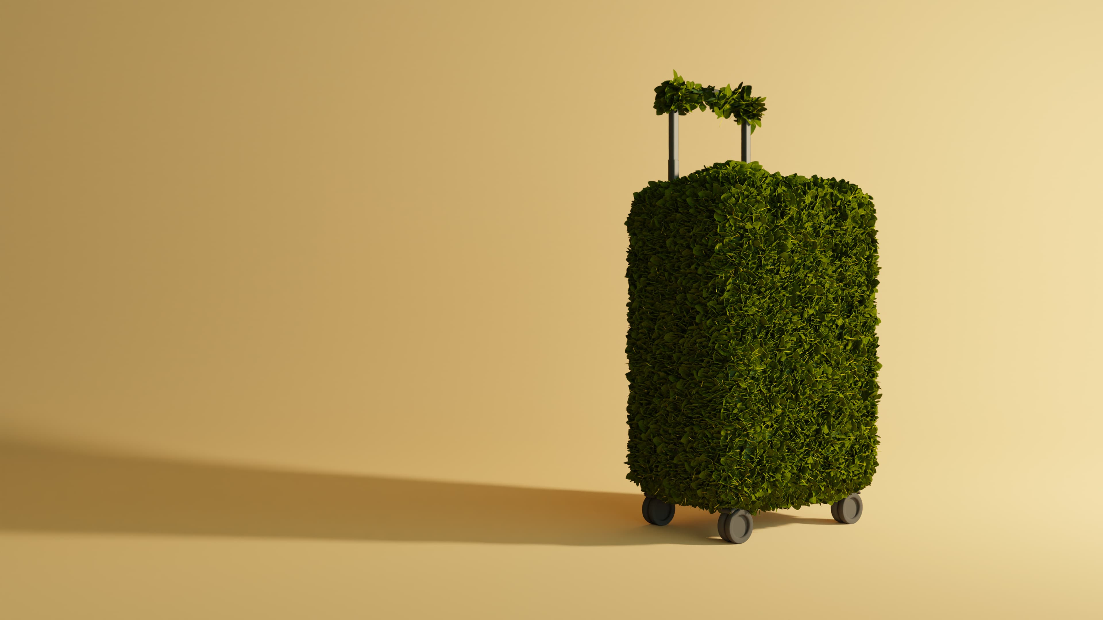 Sustainable Travel Article Cover