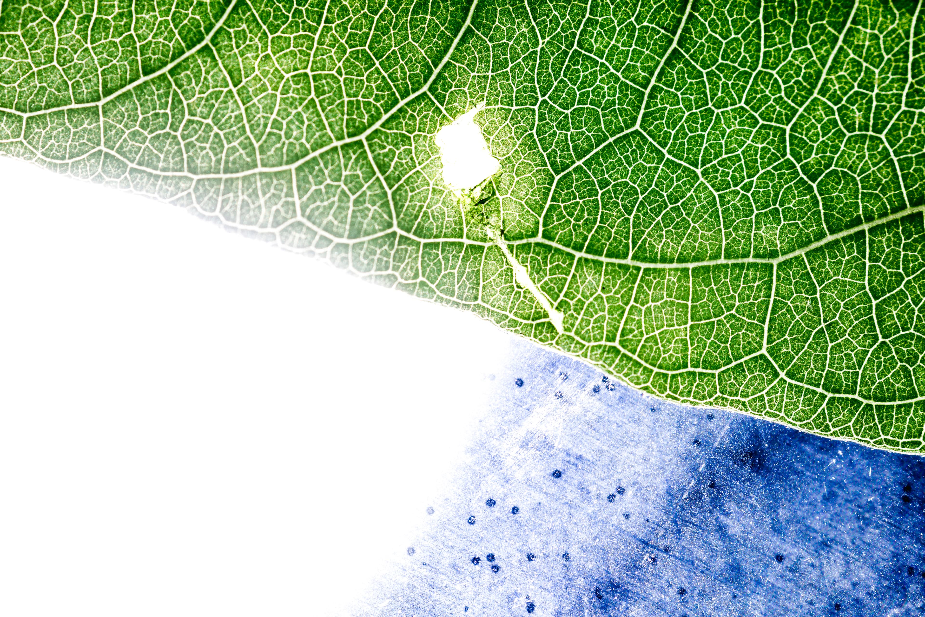 Case Studies on the Just Transition​ Article Cover