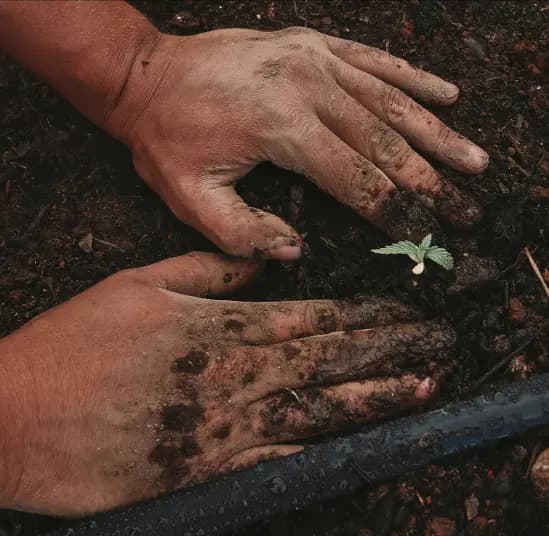 Training Resources for the Green Transition