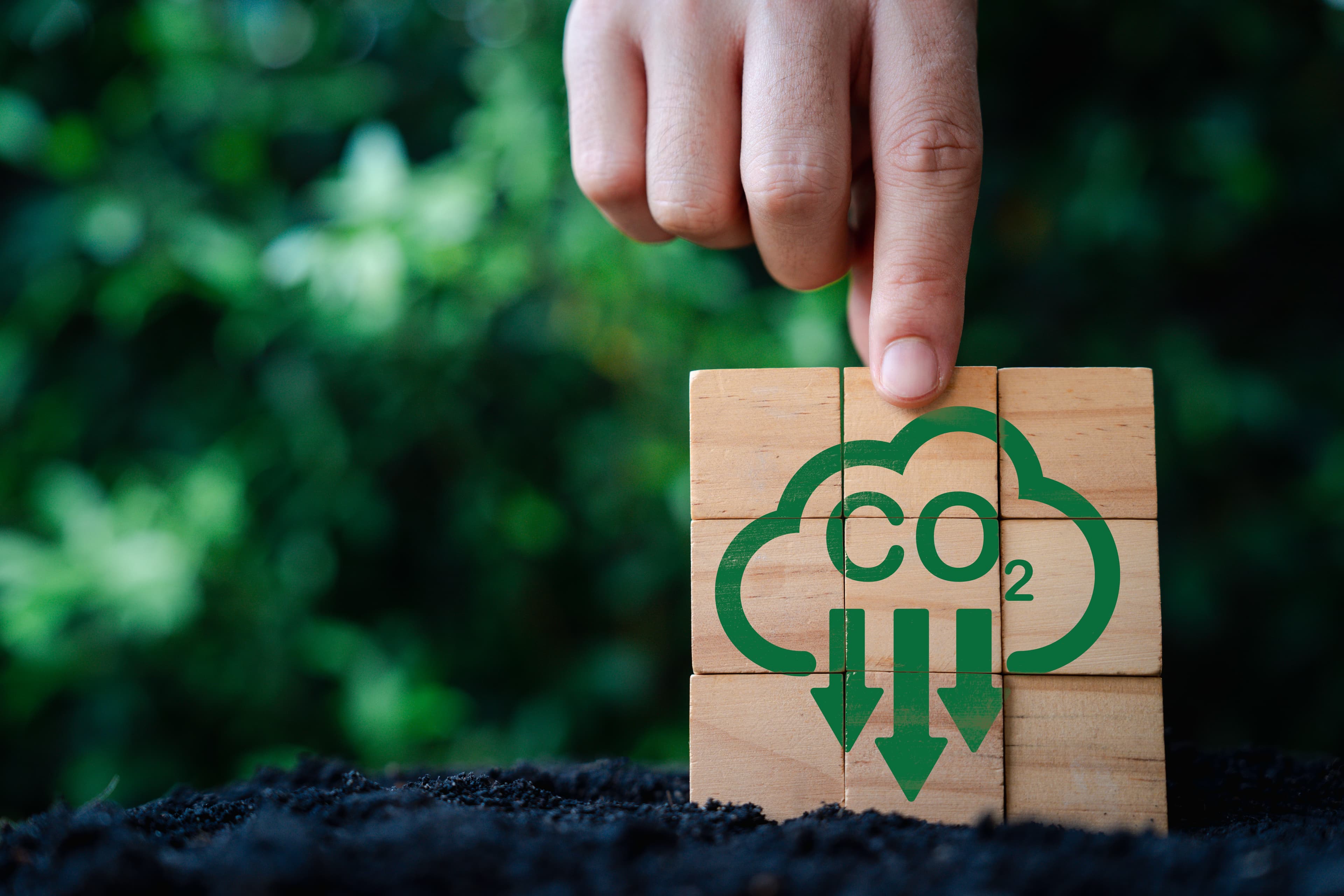 Mechanism of Environment and Circular Economy Article Cover