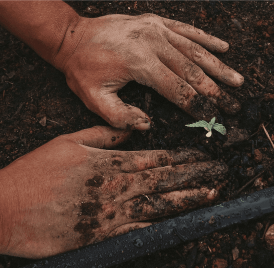 Training Resources for the Green Transition